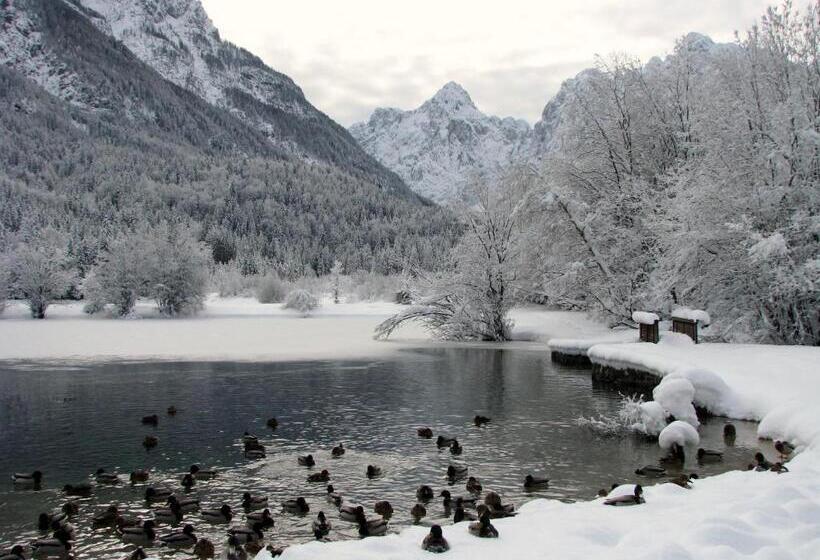اتاق خانوادگی, Youth Hostel Nika