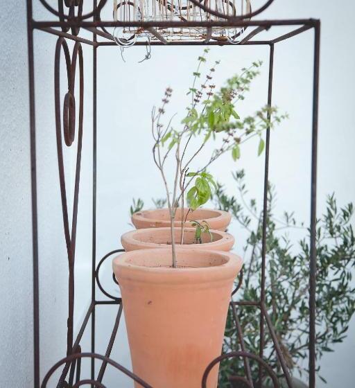 جناح سوبيريور, Epistay