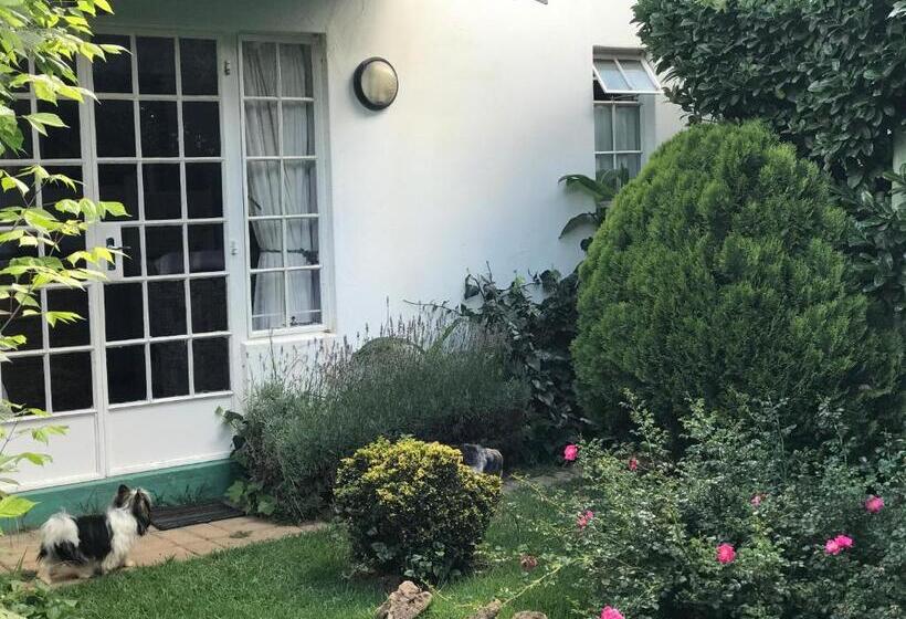 غرفة قياسية, Rosewood Corner, Clarens