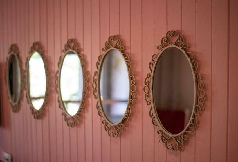 スタンダードルーム, Graskop