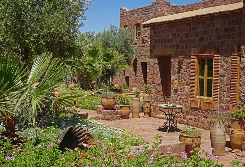 اتاق سوپریور, Kasbah Angour