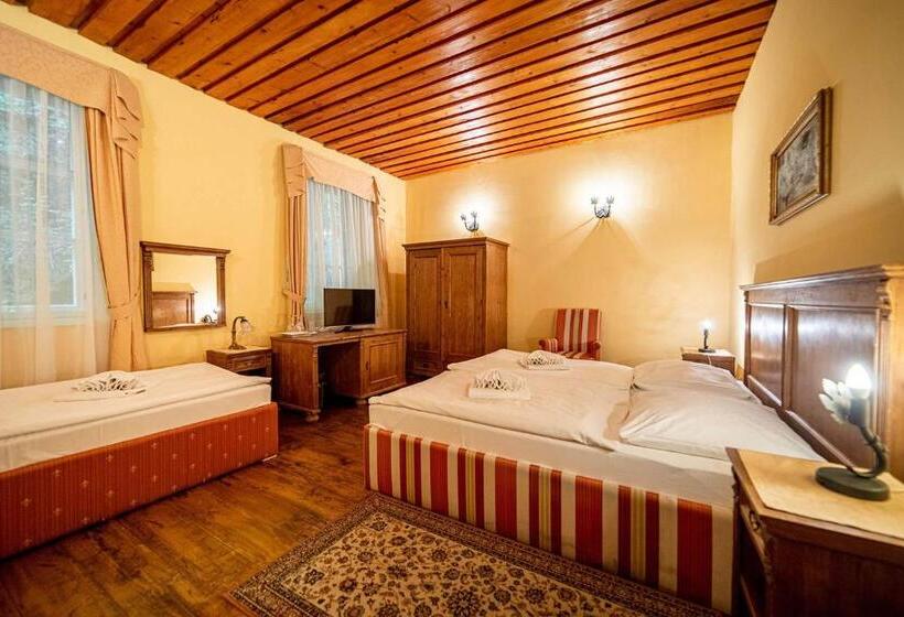 חדר בסיסי לשלושה, Penzión Cosmopolitan I