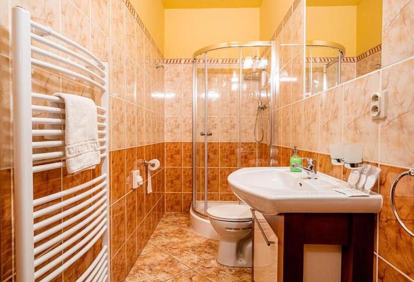 חדר בסיסי לשלושה, Penzión Cosmopolitan I