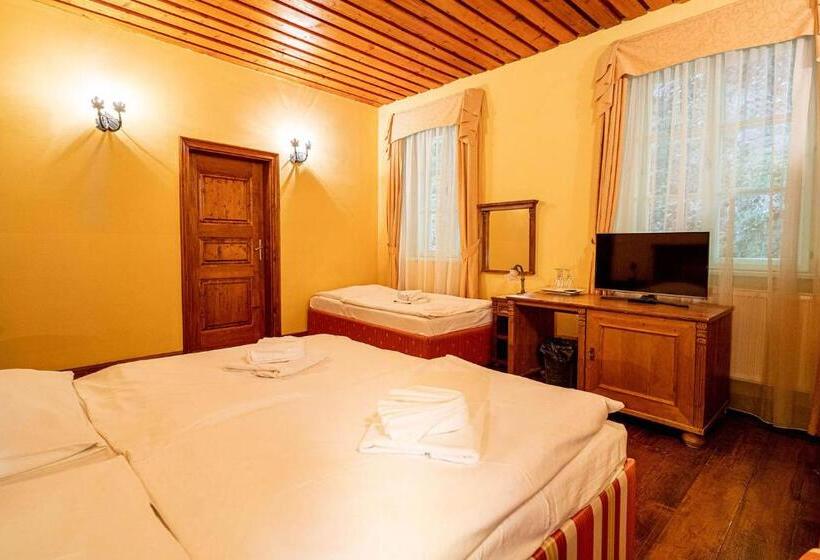 חדר בסיסי לשלושה, Penzión Cosmopolitan I