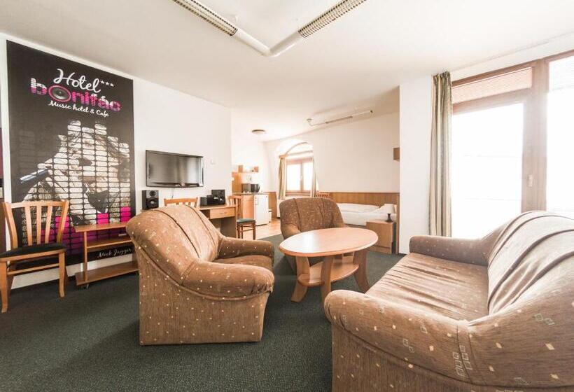 标准工作室, Penzion Atlas