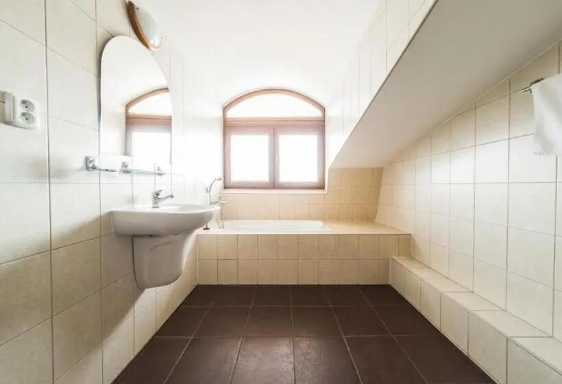 Standard Yhden Hengen Huone, Penzion Atlas