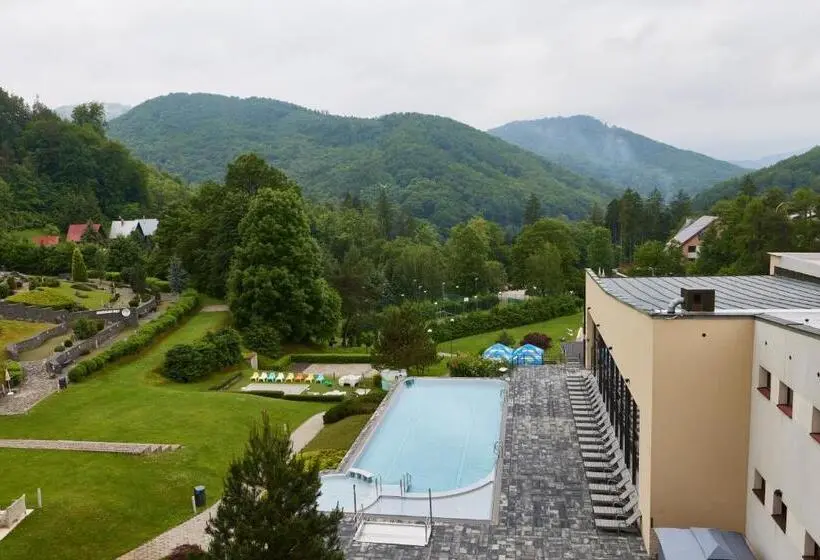 Standard-huone Sisäpuolella, Sitno Forest Resort