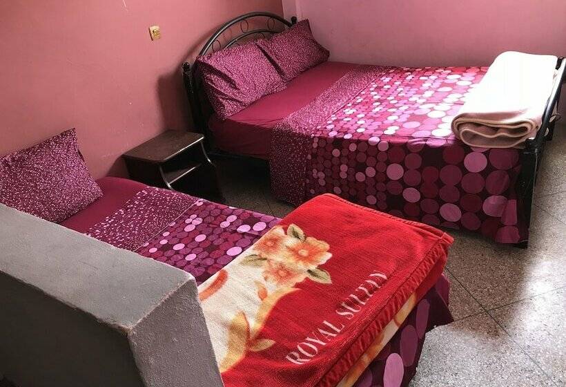 ファミリールーム, Wani