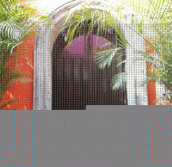 주니어 스위트, Casa Campos