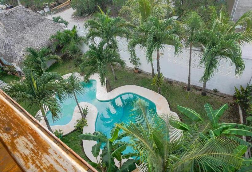 סטודיו סטנדרט, מיטה זוגית, Full Equipped Standar Apartments