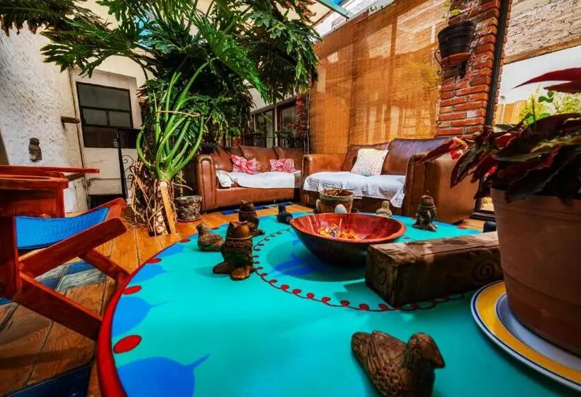 اتاق استاندارد با سرویس بهداشتی مشترک, Hostel Mexico Df Airport