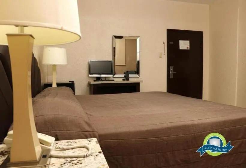 اتاق استاندارد با تخت بزرگ, America Palacio