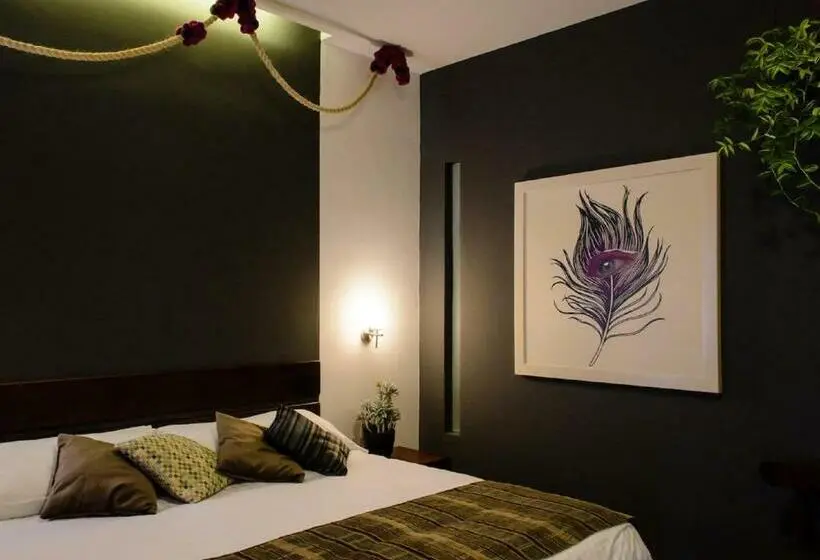 Standard-huone King-vuode, Casa Delina