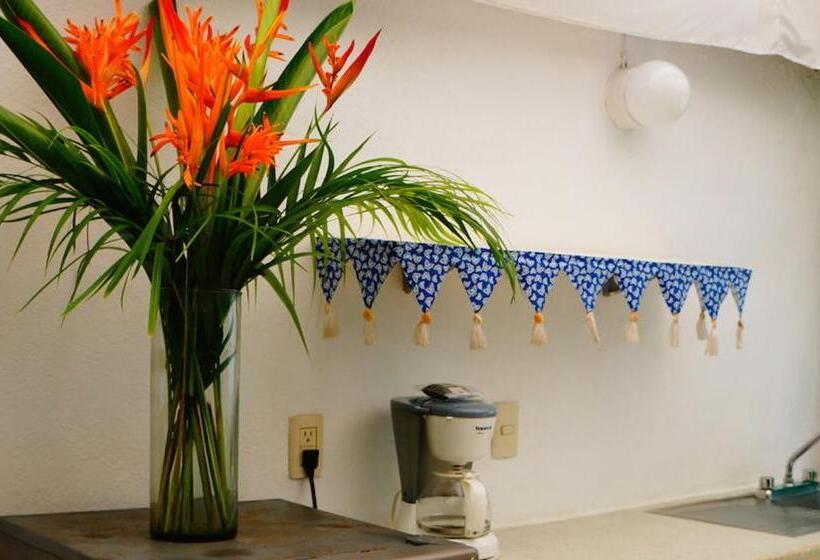 Superior Tent, Junto Al Rio Bungalows & Suites