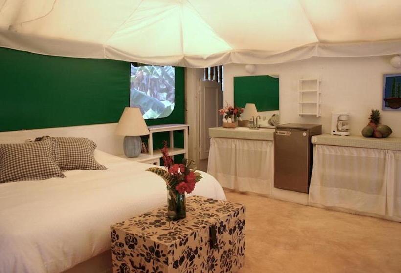 Tenda Superior, Junto Al Rio Bungalows & Suites