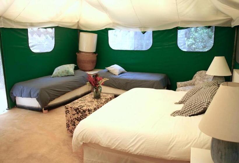 كوخ سوبيريور, Junto Al Rio Bungalows & Suites