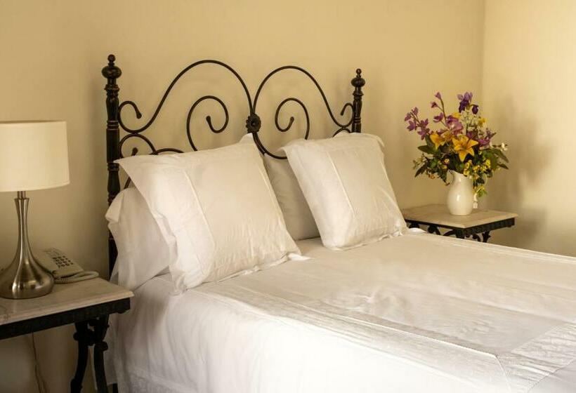 スタンダードルーム, Layseca