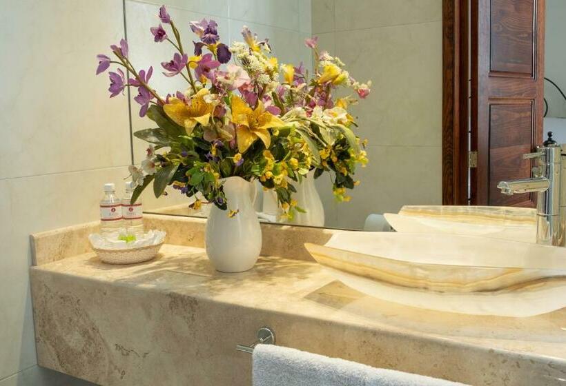 スタンダードルーム, Layseca