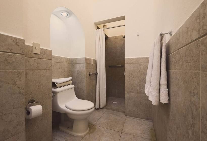 スタンダードルーム, Layseca