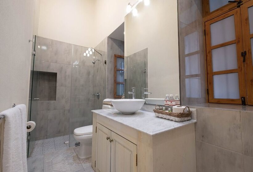 スタンダードルーム, Layseca