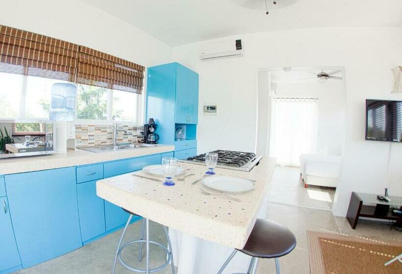 1ベッドルームペントハウスアパート, Mango