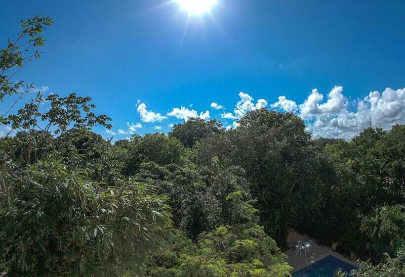 1ベッドルームペントハウスアパート, Mango