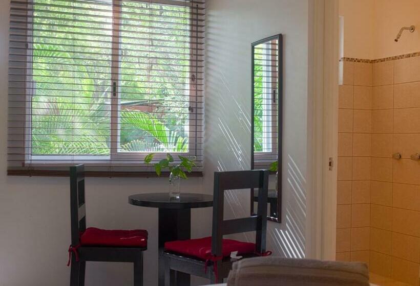 スタンダードルーム, Mango