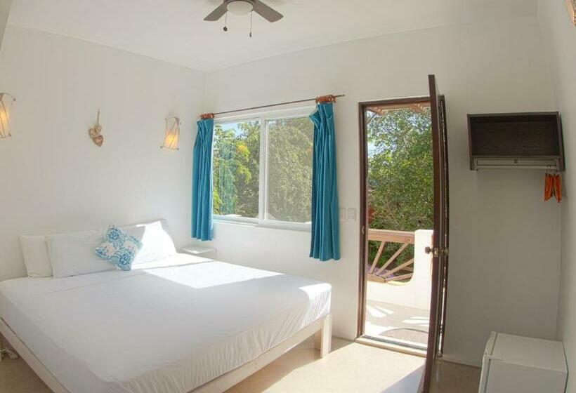 キングサイズベッドのスタンダードルーム, Mango