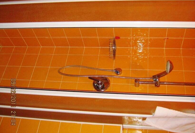 اتاق استاندارد یک نفره, Mosca