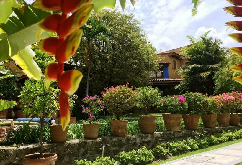 标准间, Orchidelirium Casa Hotel & Salud Estética