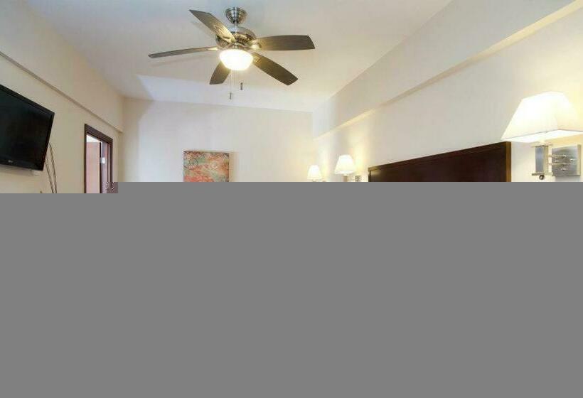 اتاق استاندارد با تخت بزرگ, Plaza Chihuahua