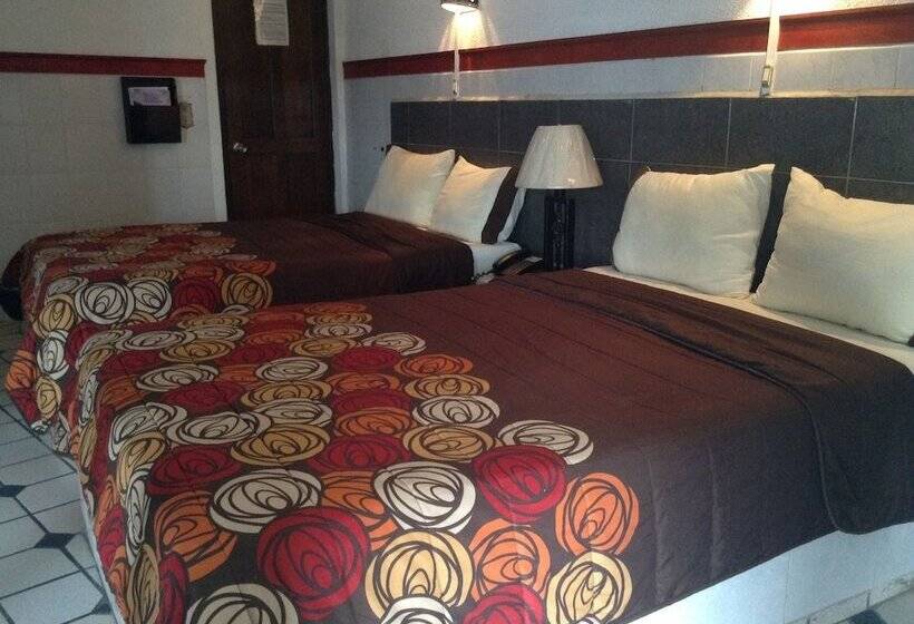 四人标准间, Terranova Tampico