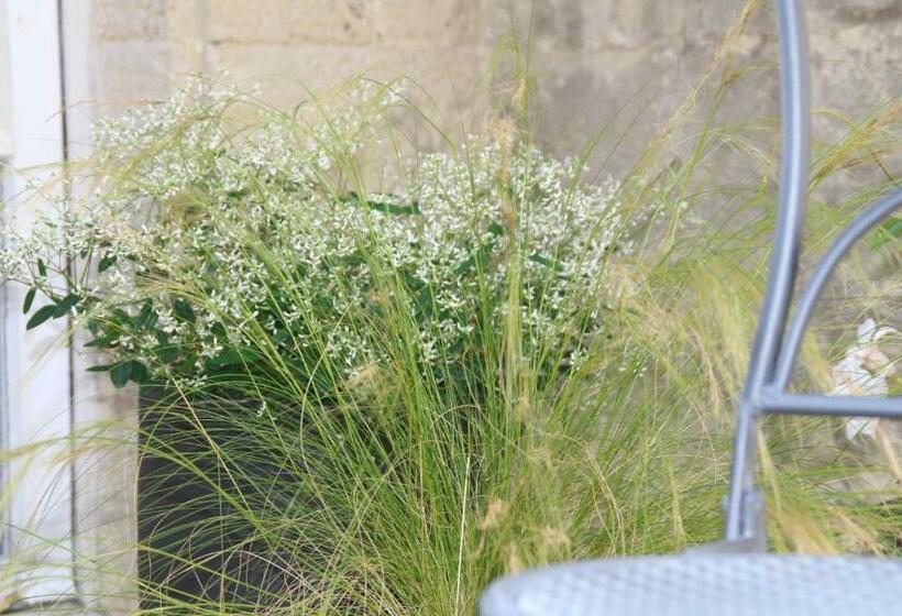 חדר סטנדרט, Une Chambre En Ville