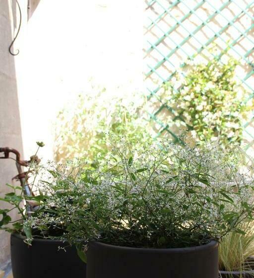 חדר סטנדרט, Une Chambre En Ville