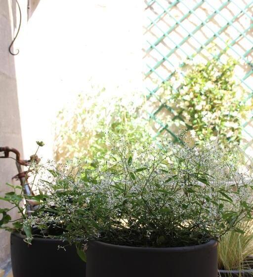 חדר סטנדרט עם טרסה, Une Chambre En Ville