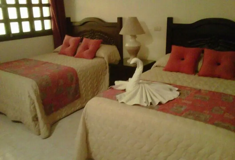 اتاق پرمیوم, Zaci