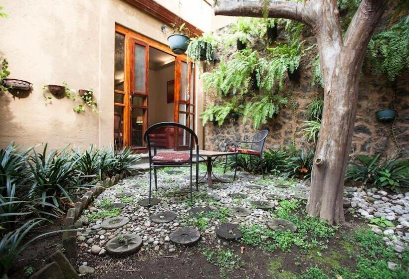 带大床的标准间, Orchidelirium Casa Hotel & Salud Estética