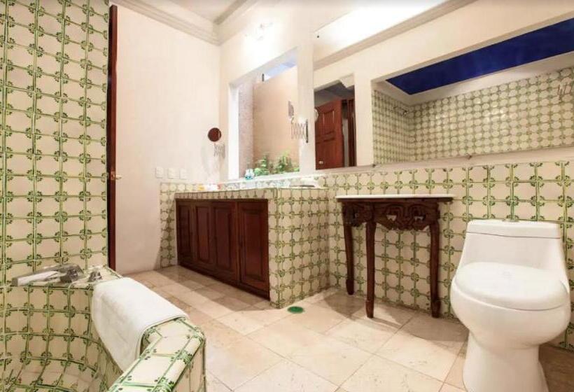 带大床的标准间, Orchidelirium Casa Hotel & Salud Estética