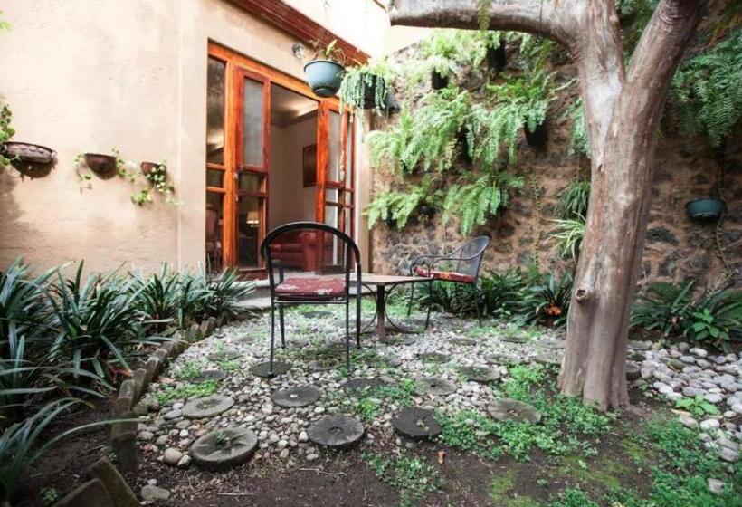 חדר סטנדרט עם מיטת קינג, Orchidelirium Casa Hotel & Salud Estética