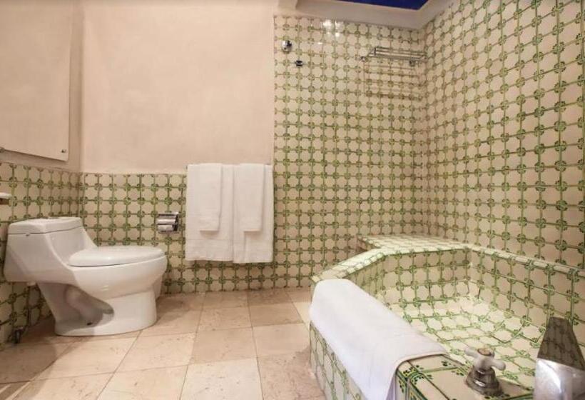 带大床的标准间, Orchidelirium Casa Hotel & Salud Estética