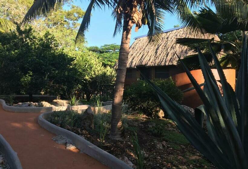 بنجلو عائلى, The Pickled Onion Eco Boutique B&b