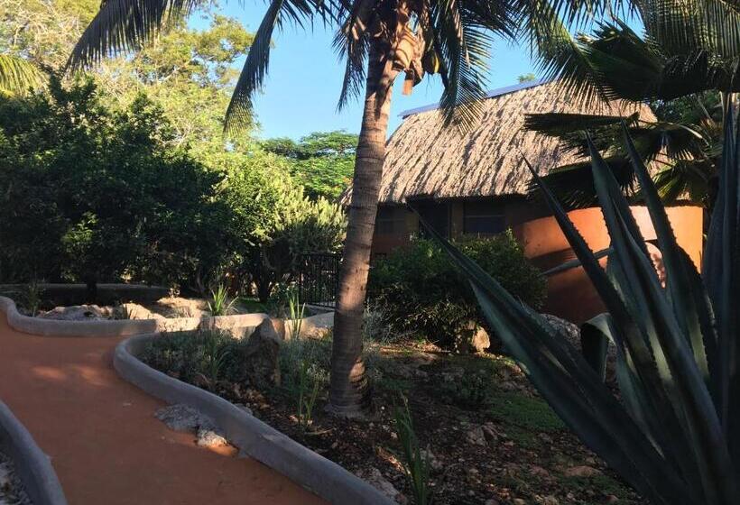 带大床的豪华间, The Pickled Onion Eco Boutique B&b