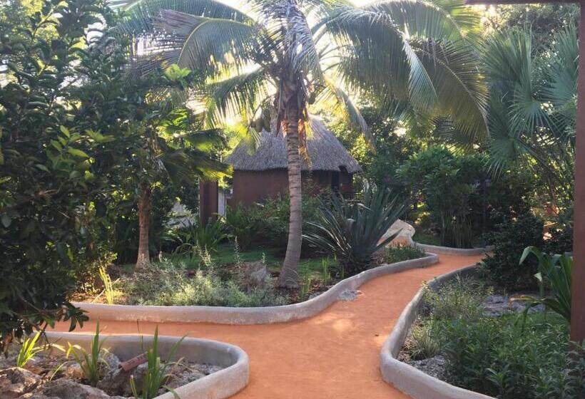 غرفة قياسية سرير كينج, The Pickled Onion Eco Boutique B&b