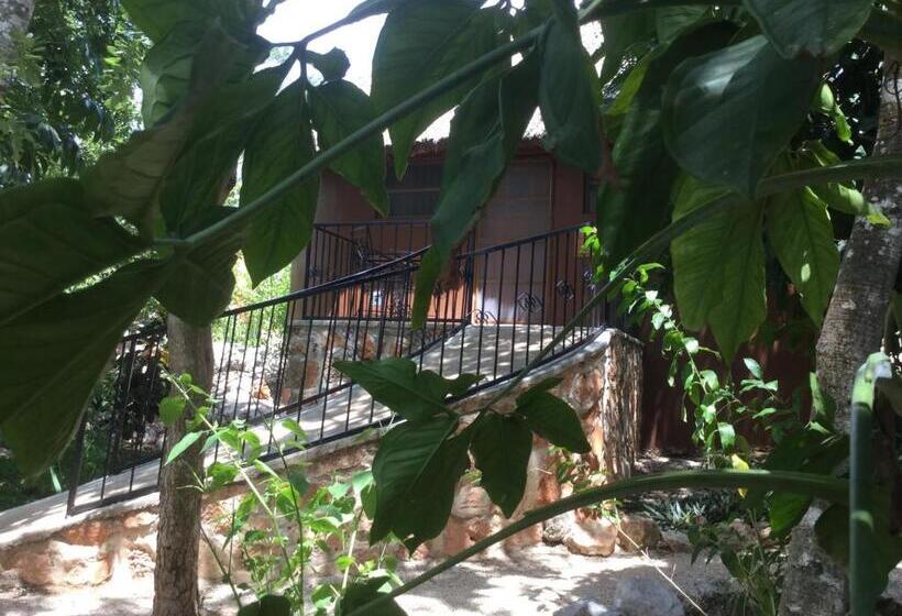 غرفة قياسية رباعية, The Pickled Onion Eco Boutique B&b