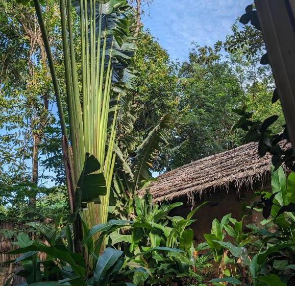 Номер Deluxe Вид на Сад, Backyard Hostel