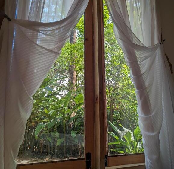 اتاق لوکس با چشم‌انداز باغ, Backyard Hostel