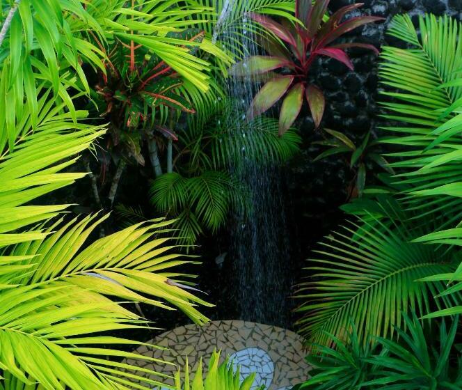 ویلای 1 خوابه, Amoa Resort Savaii