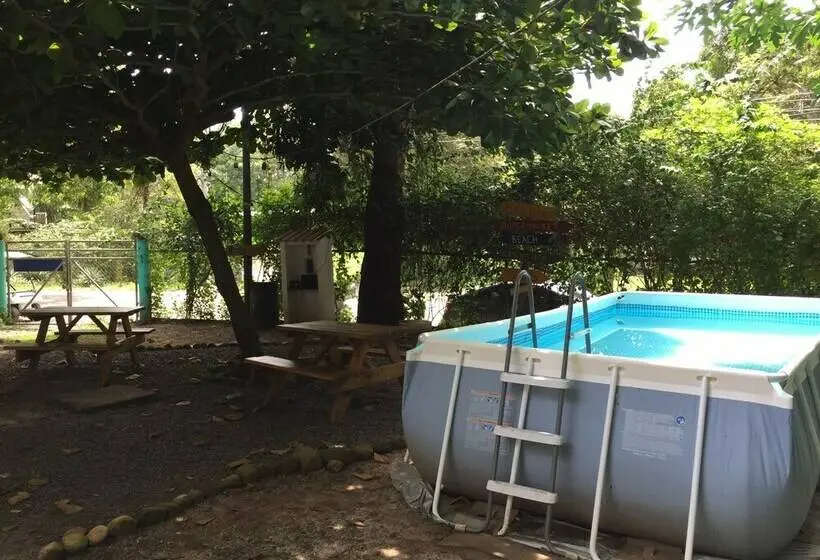 اتاق کلاسیک با تخت دوبل, B&b La Casita Del Farallón