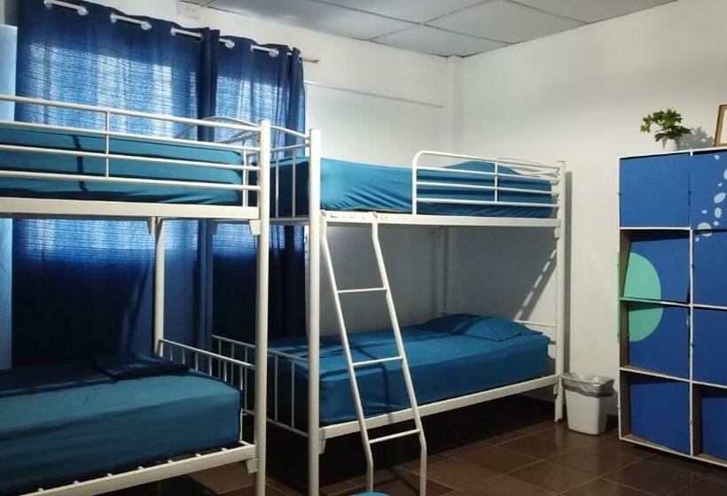 Кровать в Общей Комнате, Acuarela Hostal