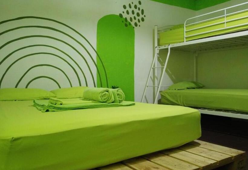 Четырехместный Номер Стандарт, Acuarela Hostal